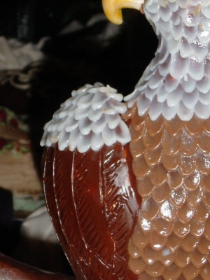 Close up of the Chocolate Eagle